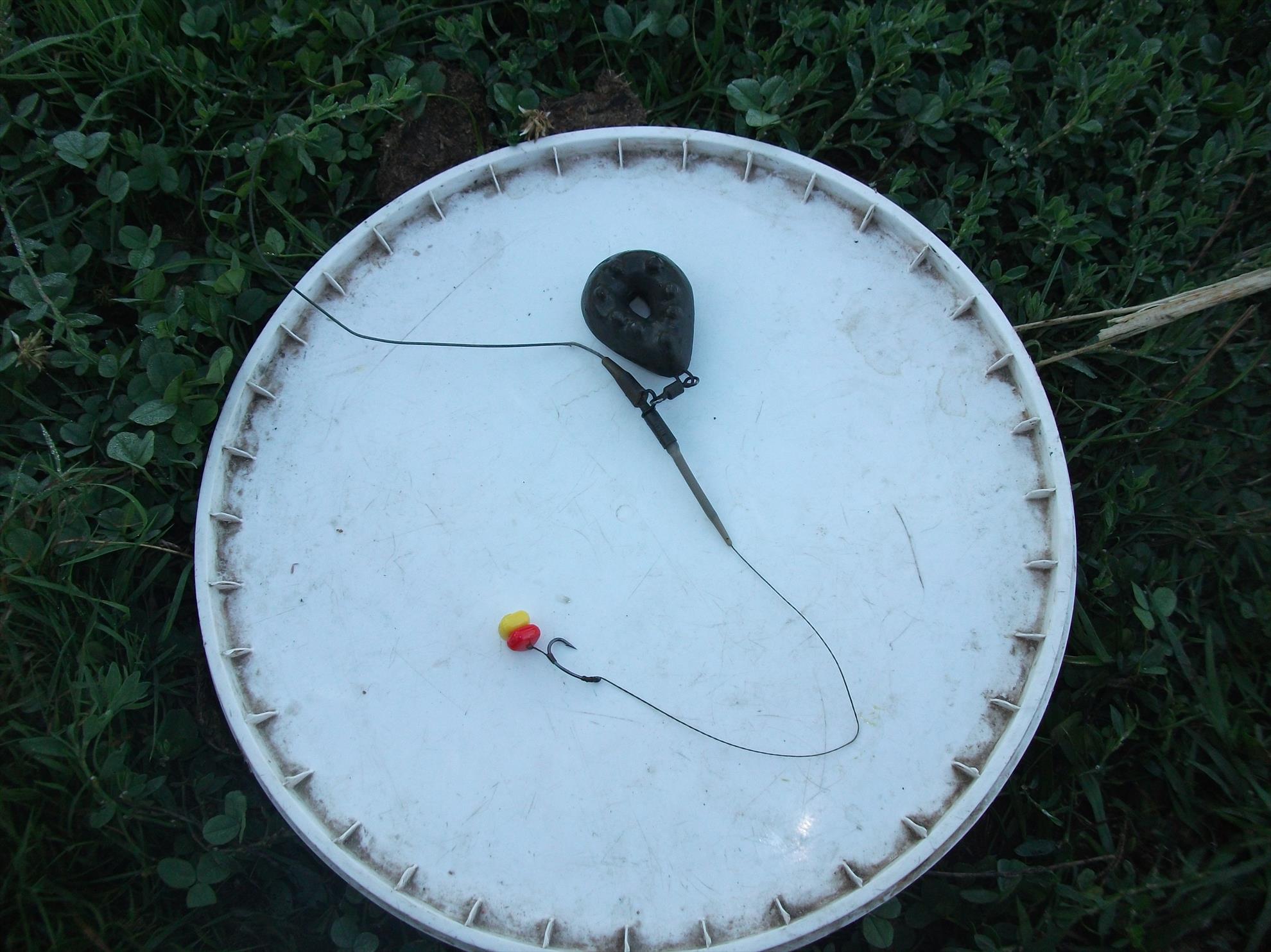 Cernica - dscf1467.jpg